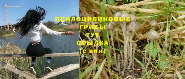 метадон Белокуриха