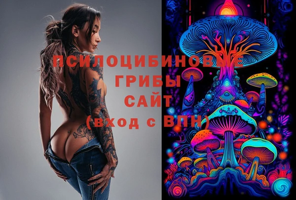 метадон Белокуриха