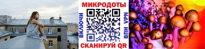 Галлюциногенные грибы Cubensis  даркнет сайт  Дагестанские Огни 