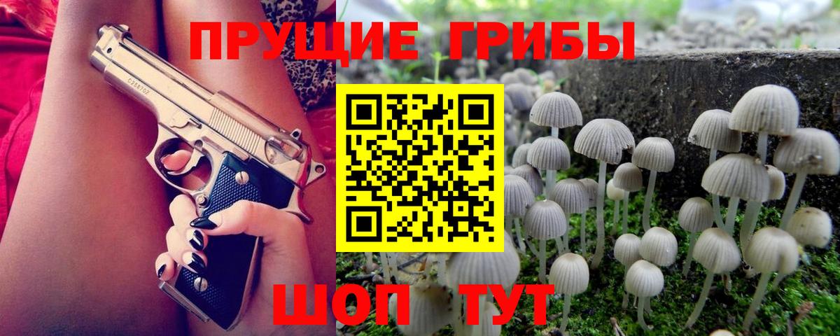 Псилоцибиновые грибы мицелий Дагестанские Огни